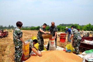 民权县城人口_河南省民权县人民医院