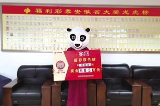 阜阳90后彩民机选中奖685万