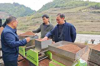 农技人员在石阡县各田间地头开展技术指导和生产服务现场。