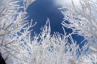 节气小雪：品读那些飘进唐诗宋词里的雪