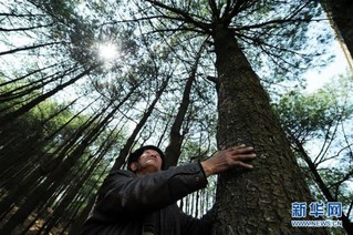 （图文互动）（5）贵州沙子坡林场：三代护林员守护一片“林海”