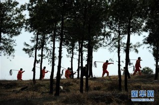 （图文互动）（6）贵州沙子坡林场：三代护林员守护一片“林海”
