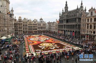 （国际）（5）布鲁塞尔鲜花地毯