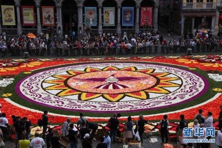（国际）（7）布鲁塞尔鲜花地毯