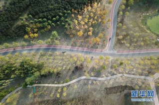 （在习近平新时代中国特色社会主义思想指引下——新时代新作为新篇章·图文互动）（2）为首都守护好绿水青山——北京更高质量保护生态涵养区调查
