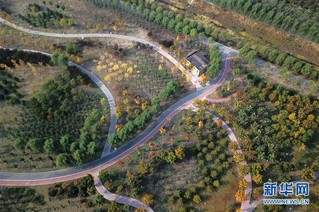 （在习近平新时代中国特色社会主义思想指引下——新时代新作为新篇章·图文互动）（1）为首都守护好绿水青山——北京更高质量保护生态涵养区调查