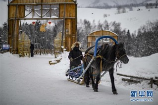 （社会）（3）新疆禾木：尽享雪趣