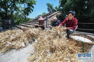 （社会）（2）千年“丝绸之源”古村落焕发新活力