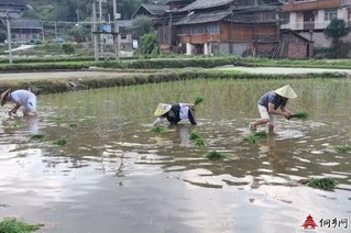 黎平县永从镇永从村有多少人口_黎平县永从镇上寨村