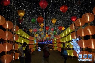 （文化）（4）香港举办中秋彩灯会