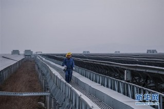 （经济）（4）浙江省内最大规模海涂光伏发电项目正式投运