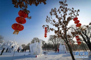 （社会）（2）哈尔滨国际雪雕比赛落幕