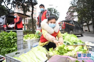 （聚焦疫情防控）（3）重庆：疫情下的乡村蔬菜配送小队
