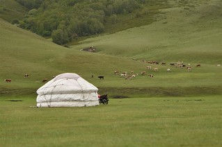 （环境）（5）阿鲁科尔沁草原夏日美景