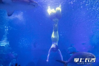 美人鱼在水中需完成一套难度动作。