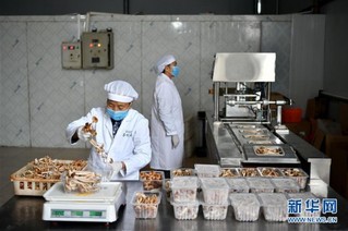 （经济）（2）江西赣州：茶树菇产业助农增收