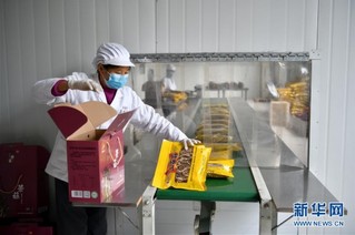 （经济）（3）江西赣州：茶树菇产业助农增收