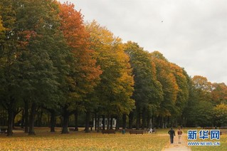 （国际）（8）比利时：秋天的色彩