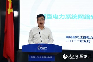 国网黑龙江省电力有限公司数字化工作部副主任韩冰。