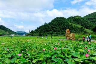 贵州习水风光。受访单位供图