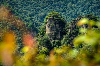 石阡：有风景的地方就有“绿色银行”。