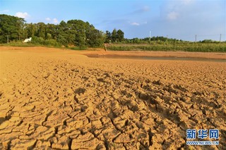 （图文互动）（2）湖南2.5万人因旱遭遇饮水难 201万亩农作物受旱