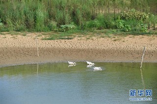 （图文互动）（5）湖南2.5万人因旱遭遇饮水难 201万亩农作物受旱