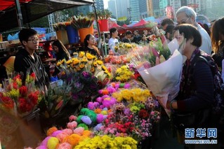 （社会）（2）红红火火的香港年宵花市