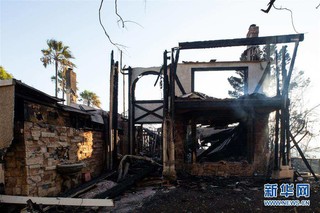 （国际）（4）美国加州：被烧毁的房屋