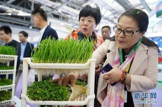 （经济）（2）第十七届中国国际农产品交易会在南昌开幕
