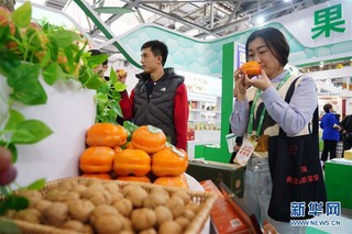 （经济）（4）第十七届中国国际农产品交易会在南昌开幕