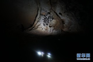 （科技）（4）跨国探险队在广西东兰发现大型天坑