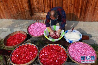 #（经济）（2）贵州毕节：“鲜花经济”助农增收