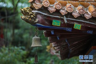 （新华视界）（5）甘肃崇信：秀美龙泉寺 夏日好乘凉