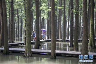 #（社会）（3）端午假期亲水游觅清凉