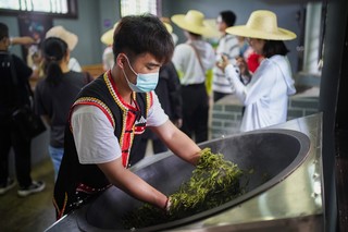 普洱茶的制作要经过萎凋、杀青、揉捻、晒青等多道工序。人民网王星 摄