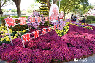 陈博摄本次活动共展出140余个品种,总计万余盆菊花,以及龙菊绿雕,龙菊