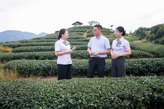 农行漳州南靖支行服务团队到南靖县南坑镇金竹村茶叶种植基地实地了解情况。林舒婷摄