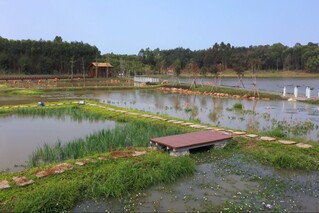多福生态清洁小流域打造美丽乡村。