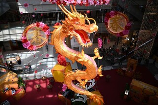 这是2月1日在新加坡新达城购物中心拍摄的龙形春节装饰。新华社发（邓智炜摄）