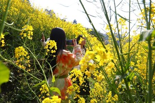 游客在油菜花里拍照打卡。习水县融媒体中心供图.JPG