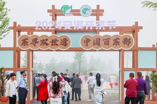2024安溪开茶节。安溪县融媒体中心供图
