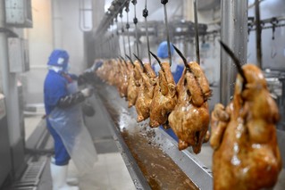 工作人员正加工符离集烧鸡。黄博涵摄