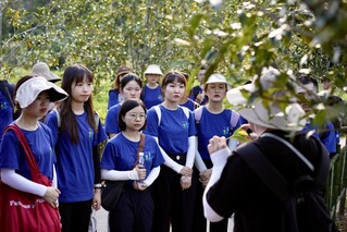 实践队师生深入了解燕子窠的种植模式