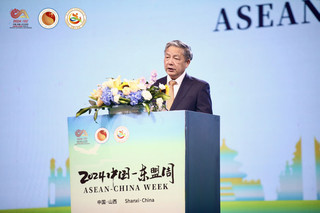中国公共外交协会前副会长胡正跃在开幕式上致辞。中国—东盟中心供图