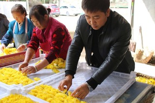 图为：正在摆花的杨毅