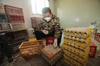 工作人员精心拣选白鸭蛋