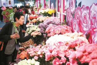 图为参观者在鲜花展品前驻足欣赏。 记者 海沙尔 摄