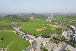 国道242线环绕茶园而建    杨仕光摄.JPG