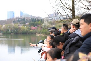9、孩子和家长一起观赏鸟群。.jpg